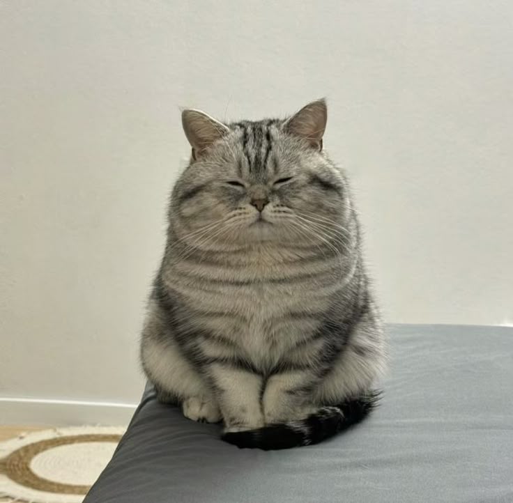 Foto Lulu