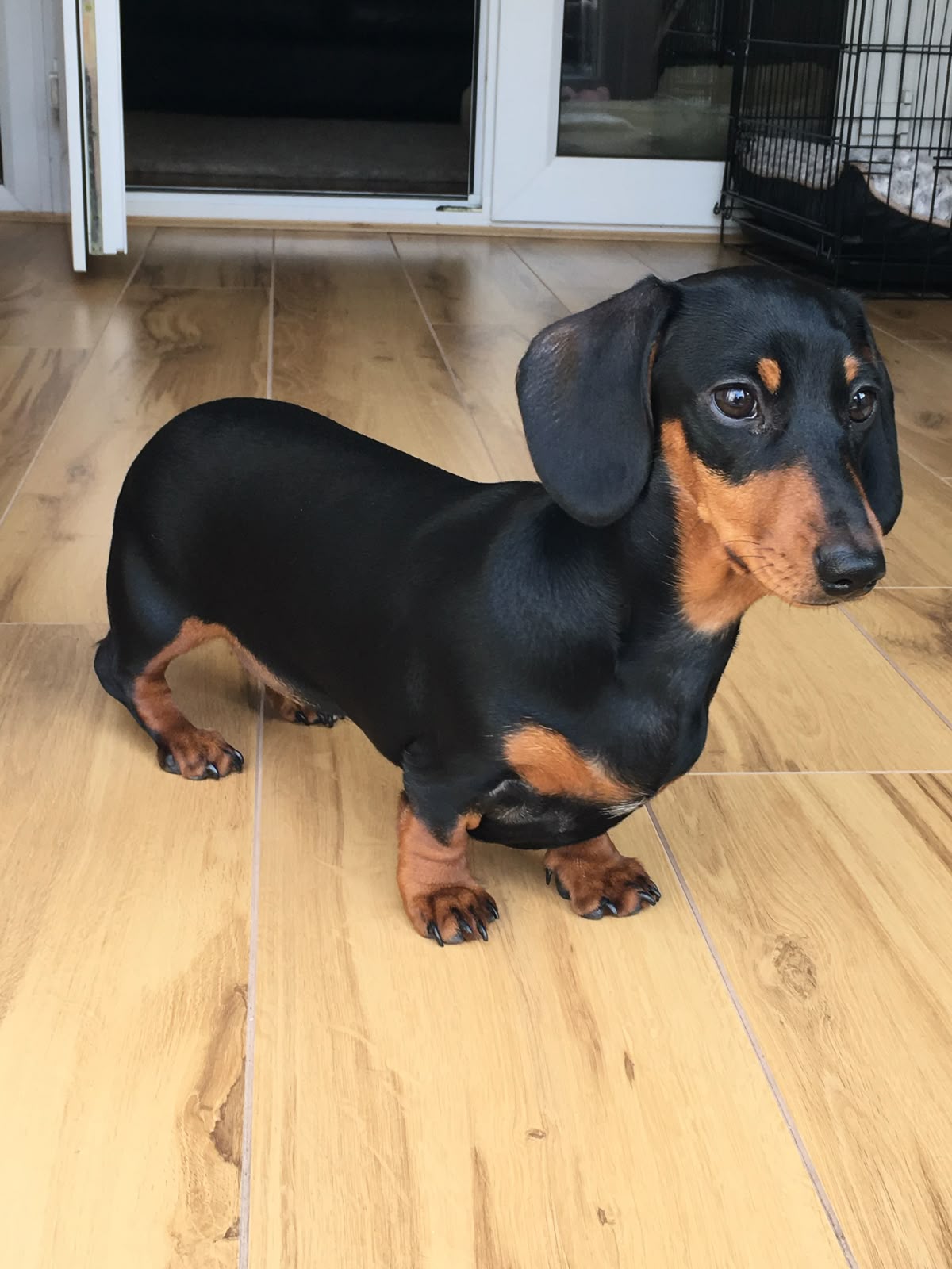 Foto Kiki
