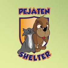 Foto Shelter Pejaten Shelter